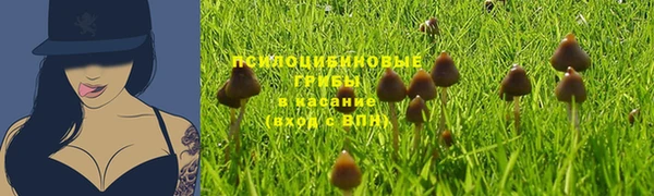 таблы Краснослободск