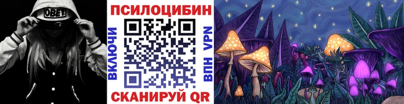 Псилоцибиновые грибы MAGIC MUSHROOMS  где купить   Хилок 